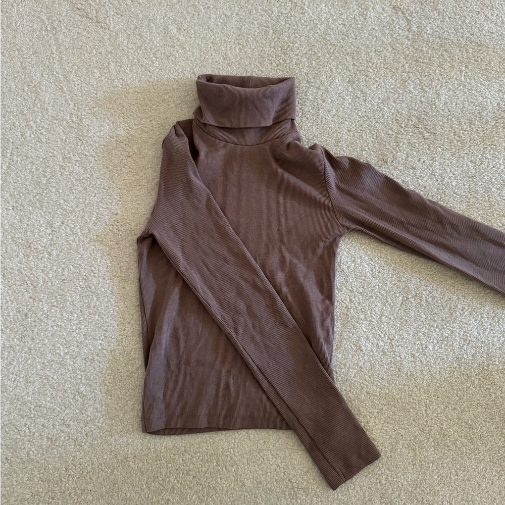 zara cropped ribbed turtleneck